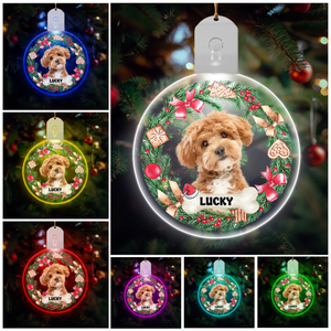 Custom Photo Dog Cat Circle Led Acrylic Ornament For Christmas HA75 891646