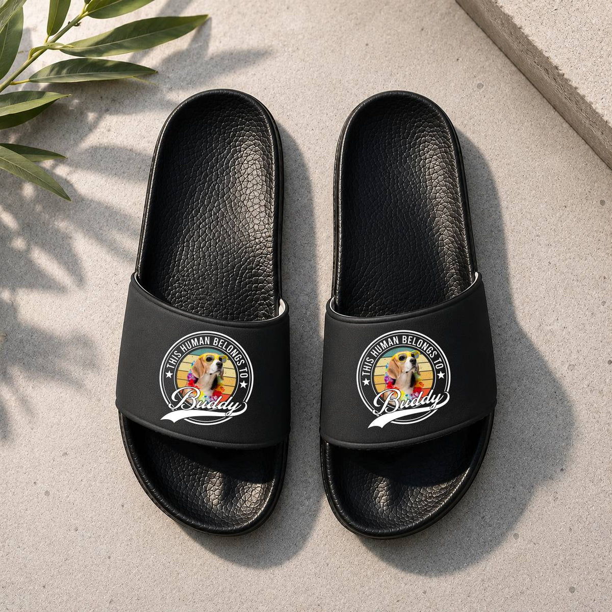 Custom Photo This Human Belongs To Dog Cat Slide Sandals - Gift For Dog Lovers HO82 902538