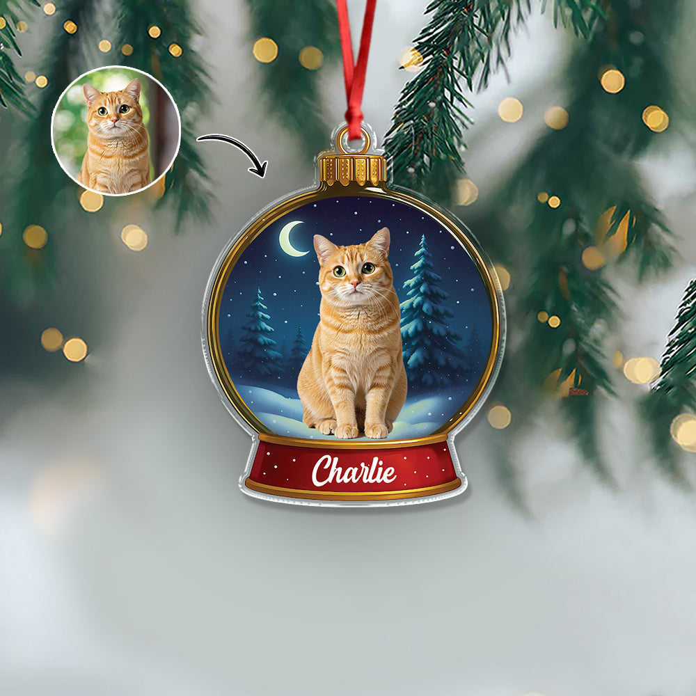 Custom Cat Photo Snow Globe With Name Acrylic Ornament Christmas Gift For Cat Lover CH07 896836