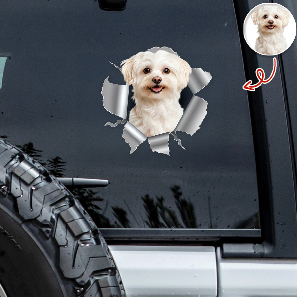 Custom Dog Photo Car Window Decal Sticker HA75 898160