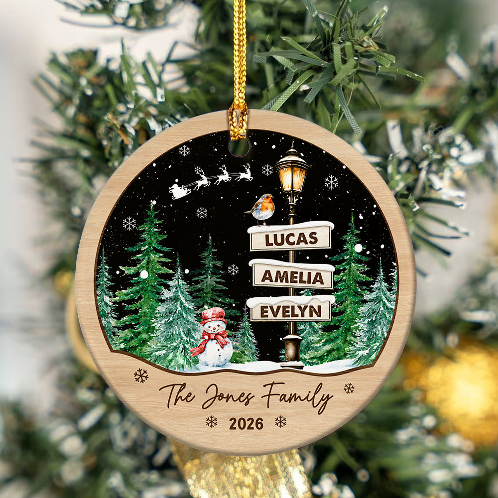 Custom Family Name Christmas Tree Ceramic Ornament, Xmas Gift For Family TH10 170657