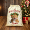 Personalized Cat Santa Christmas Bag Custom Cat Name Christmas Sack Special Delivery CH07 899416