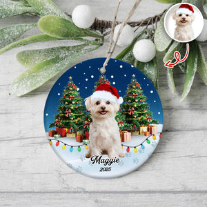 Custom Pet Photo - Personalized Christmas Ceramic Ornament For Pet Lovers CH07 899690