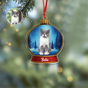 Custom Cat Photo Snow Globe With Name Acrylic Ornament Christmas Gift For Cat Lover CH07 896836