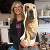Custom Funny Portrait Photo 3D Custom Shaped Pillow - Memorial Gift for Loved One, Pet Lovers HO82 903838