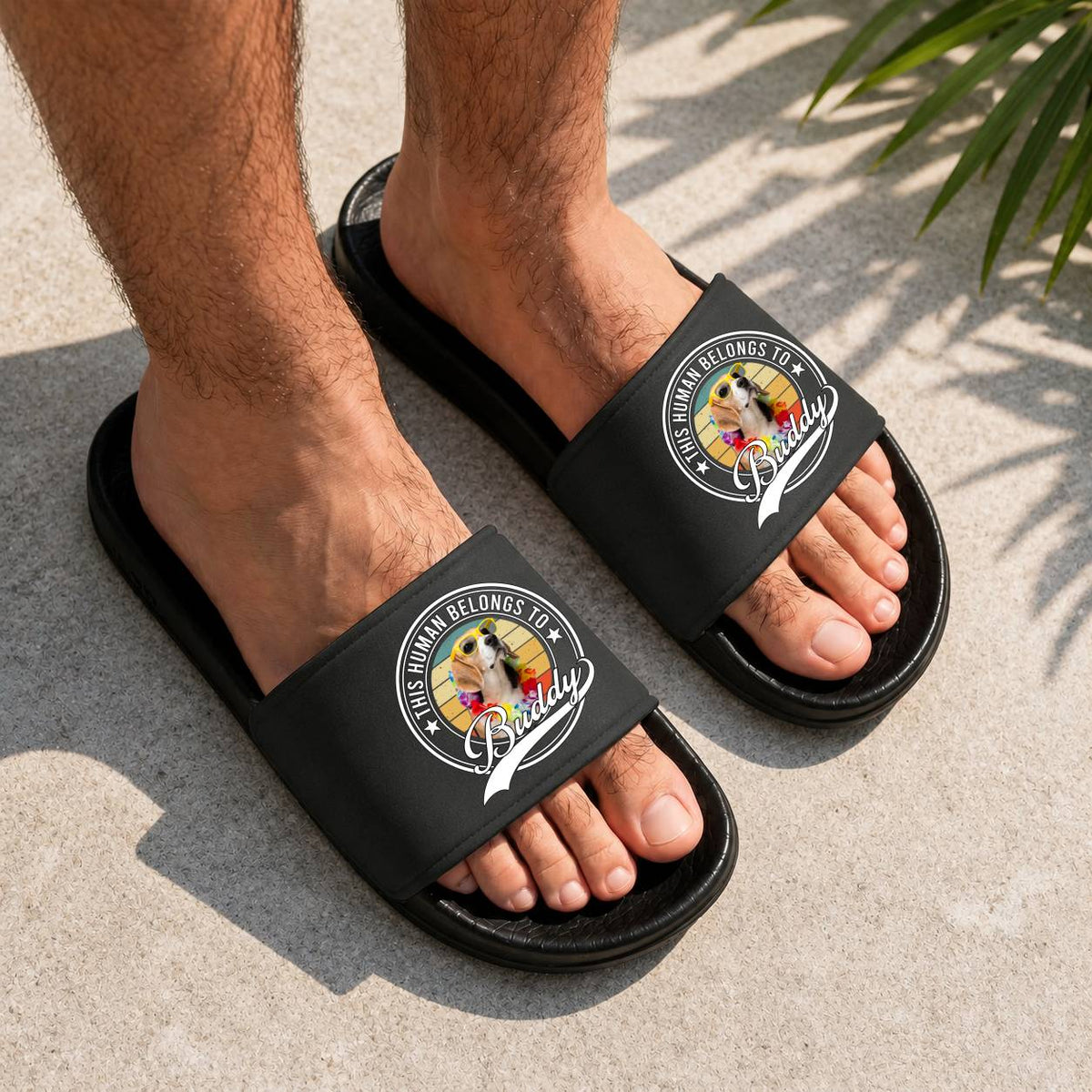 Custom Photo This Human Belongs To Dog Cat Slide Sandals - Gift For Dog Lovers HO82 902538
