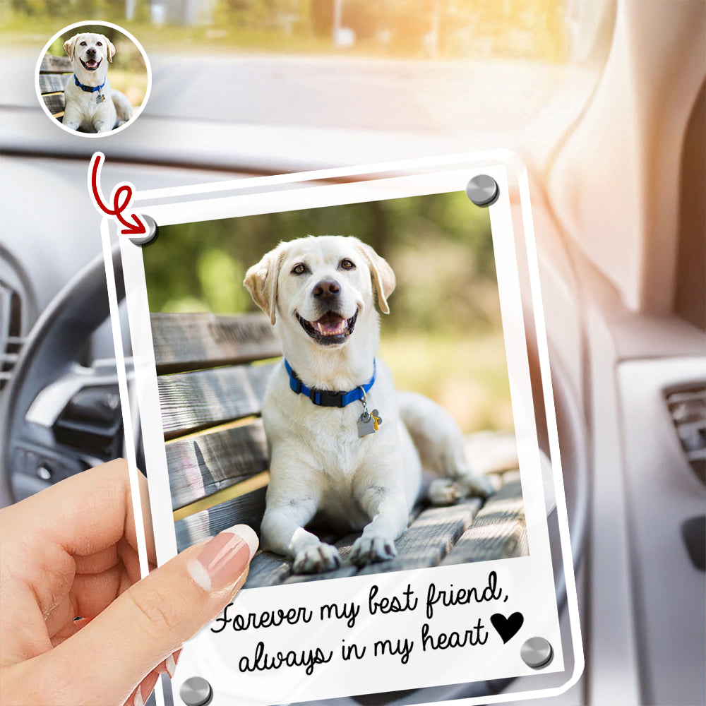 Custom Pet Photo Memorial Car Visor Clip Gift For Pet Lovers TH10 898971