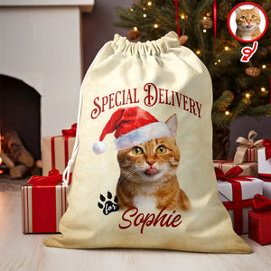 Personalized Cat Santa Christmas Bag Custom Cat Name Christmas Sack Special Delivery CH07 899416