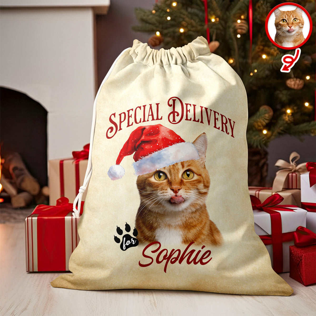 Personalized Cat Santa Christmas Bag Custom Cat Name Christmas Sack Special Delivery CH07 899416