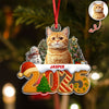 Custom Cat Christmas Cake Crew Photo - Personalized Acrylic Ornament CH07 899706