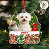 Custom Photo Christmas Gifts Dog Cat Acrylic Ornament HO82 900282