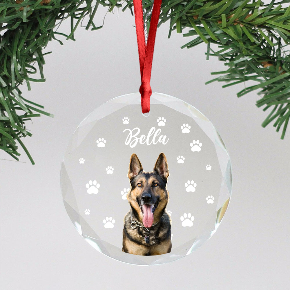 Custom Pet Photo With Icon For Dog And Cat Lovers Glass Ornament TH10 894255