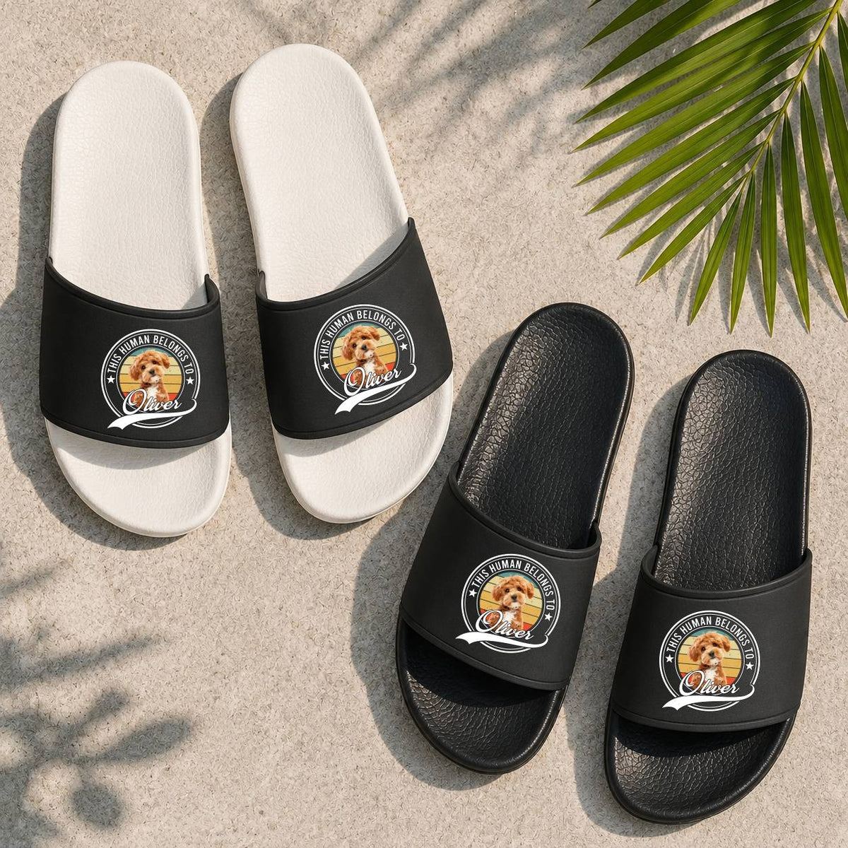 Custom Photo This Human Belongs To Dog Cat Slide Sandals - Gift For Dog Lovers HO82 902538