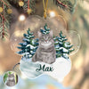 Custom Photo Cat Paw Shaped Acrylic Ornament Christmas Gift For Cat Lovers HA75 897062