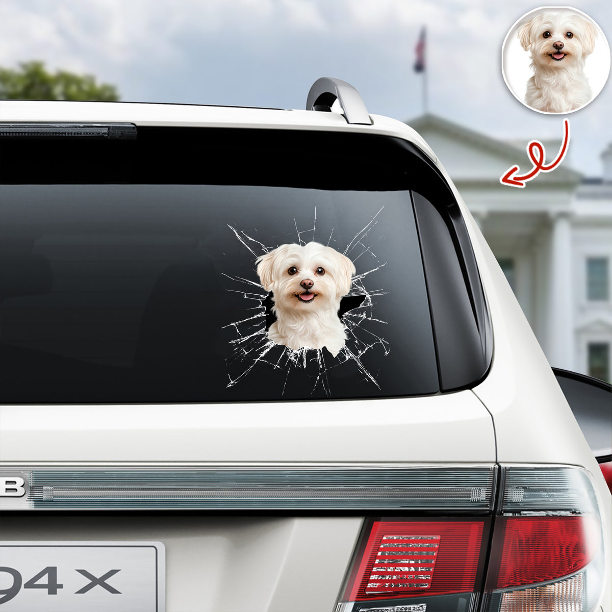 Custom Pet Photo Car Window Decal Sticker Gift For Pet Lovers HA75 898158