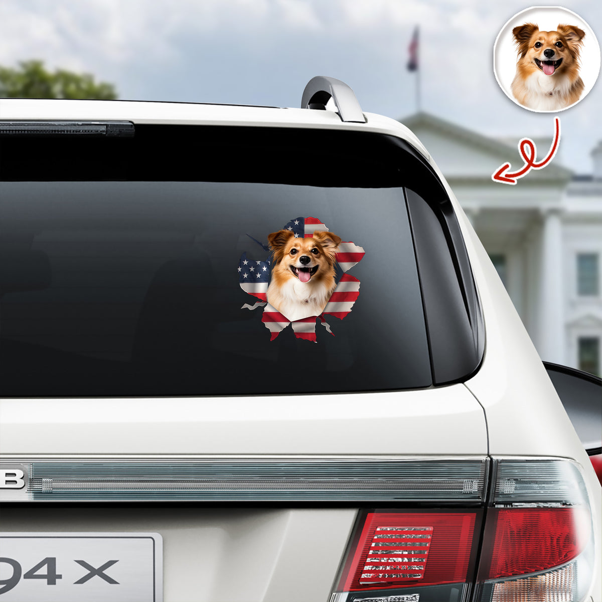 Custom Dog Photo Car Window Decal Sticker HA75 898160