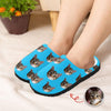 Custom Funny Face Cat Pet Slippers Gift For Cat Lovers, Pet Owner HA75 897508