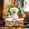 Custom Photo Christmas Gifts Dog Cat Acrylic Ornament HO82 900282