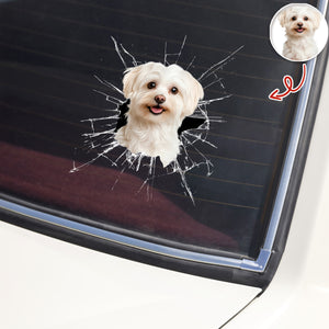 Custom Pet Photo Car Window Decal Sticker Gift For Pet Lovers HA75 898158
