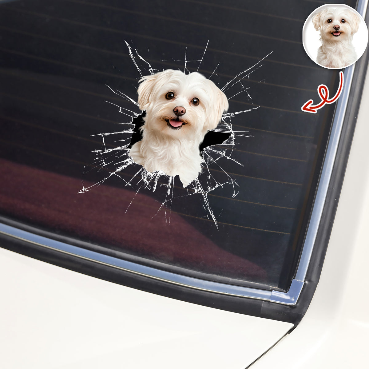 Custom Pet Photo Car Window Decal Sticker Gift For Pet Lovers HA75 898158