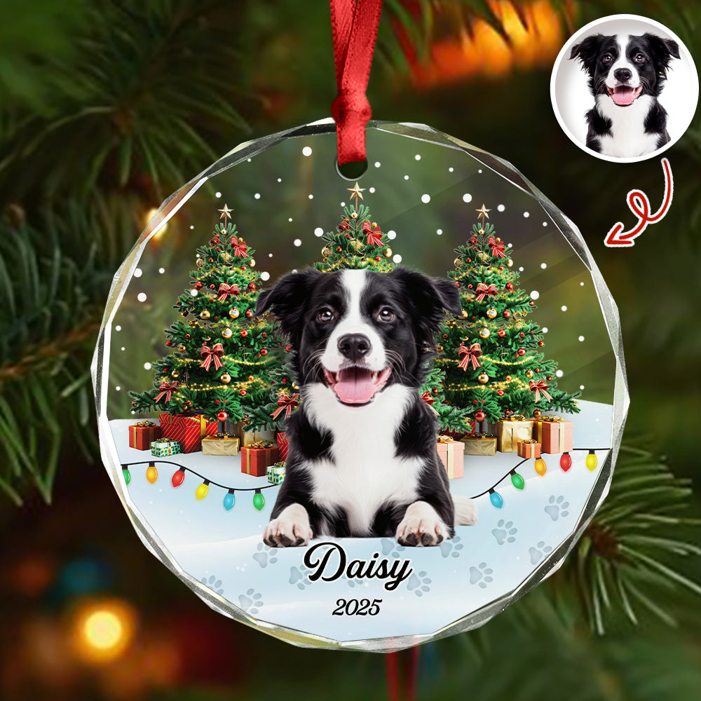 Custom Pet Photo - Personalized Christmas Glass Ornament For Pet Lovers CH07 899692