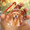 Custom Pet Photo With Icon For Dog And Cat Lovers Glass Ornament TH10 894255