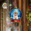 Custom Dog Photo Snow Globe With Name Acrylic Ornament Christmas Gift For Dog Lover CH07 896814