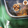 Custom Dog Photo Car Window Decal Sticker HA75 898160