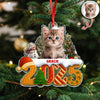 Custom Cat Christmas Cake Crew Photo - Personalized Acrylic Ornament CH07 899706