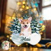 Custom Photo Dog Paw Shaped Acrylic Ornament Christmas Gift For Dog Lovers HA75 897534