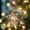 Custom Photo Cat Paw Shaped Acrylic Ornament For Christmas HA75 897264