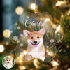 Custom Photo Dog Paw Shaped Acrylic Ornament For Christmas HA75 897048