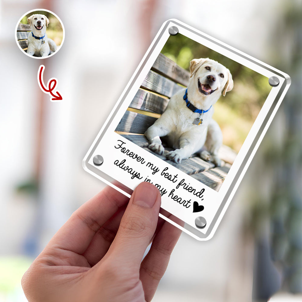 Custom Pet Photo Memorial Car Visor Clip Gift For Pet Lovers TH10 898971