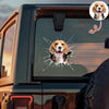 Custom Pet Photo Car Window Decal Sticker Gift For Pet Lovers HA75 898158