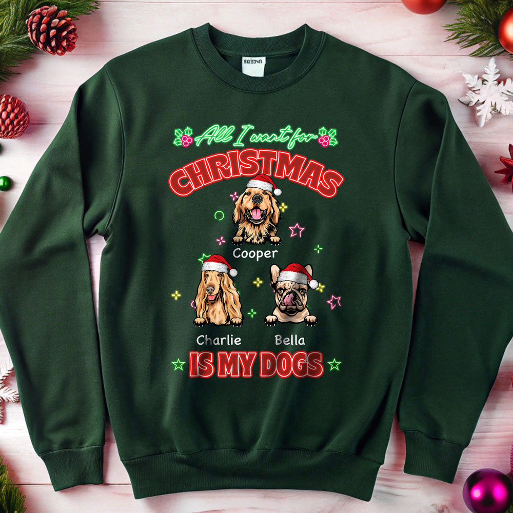 All I Want For Christmas Is My Dog Sweatshirt TH10 896211