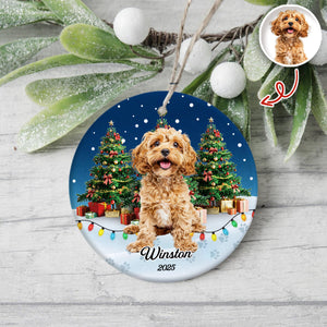 Custom Pet Photo - Personalized Christmas Ceramic Ornament For Pet Lovers CH07 899690