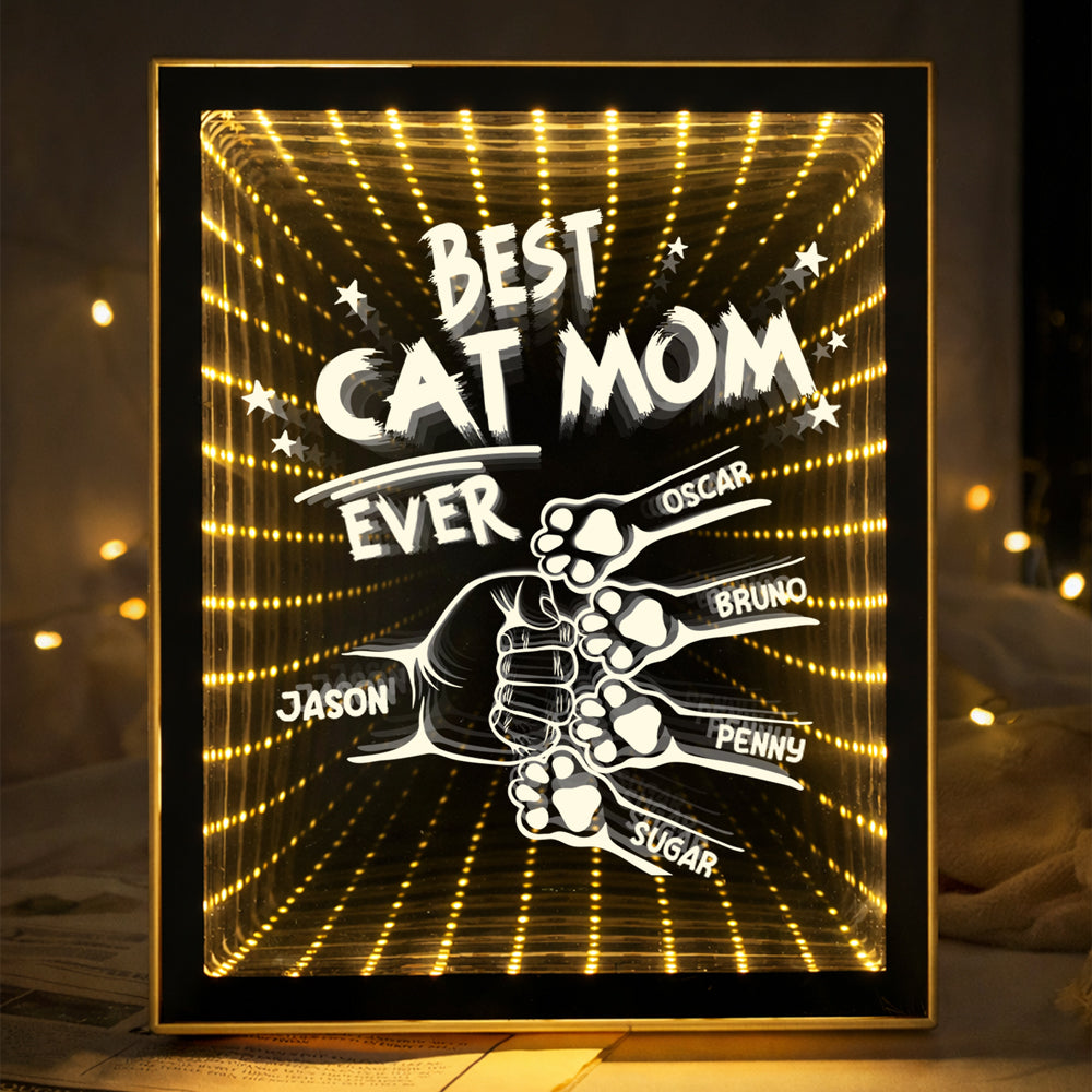 Custom Name Best Dog Dad, Dog Mom Ever Personalized Infinity Mirror Light Box HO82 901932