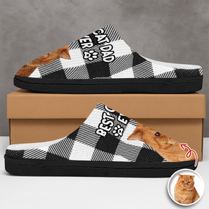 Custom Photo Best Dog Mom, Dog Dad Ever Slippers Gift For Pet Lovers HA75 897002