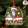 Custom Photo Christmas Gifts Dog Cat Acrylic Ornament HO82 900282