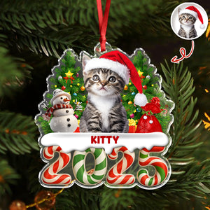 Custom Photo Christmas Gifts Dog Cat Acrylic Ornament HO82 900282