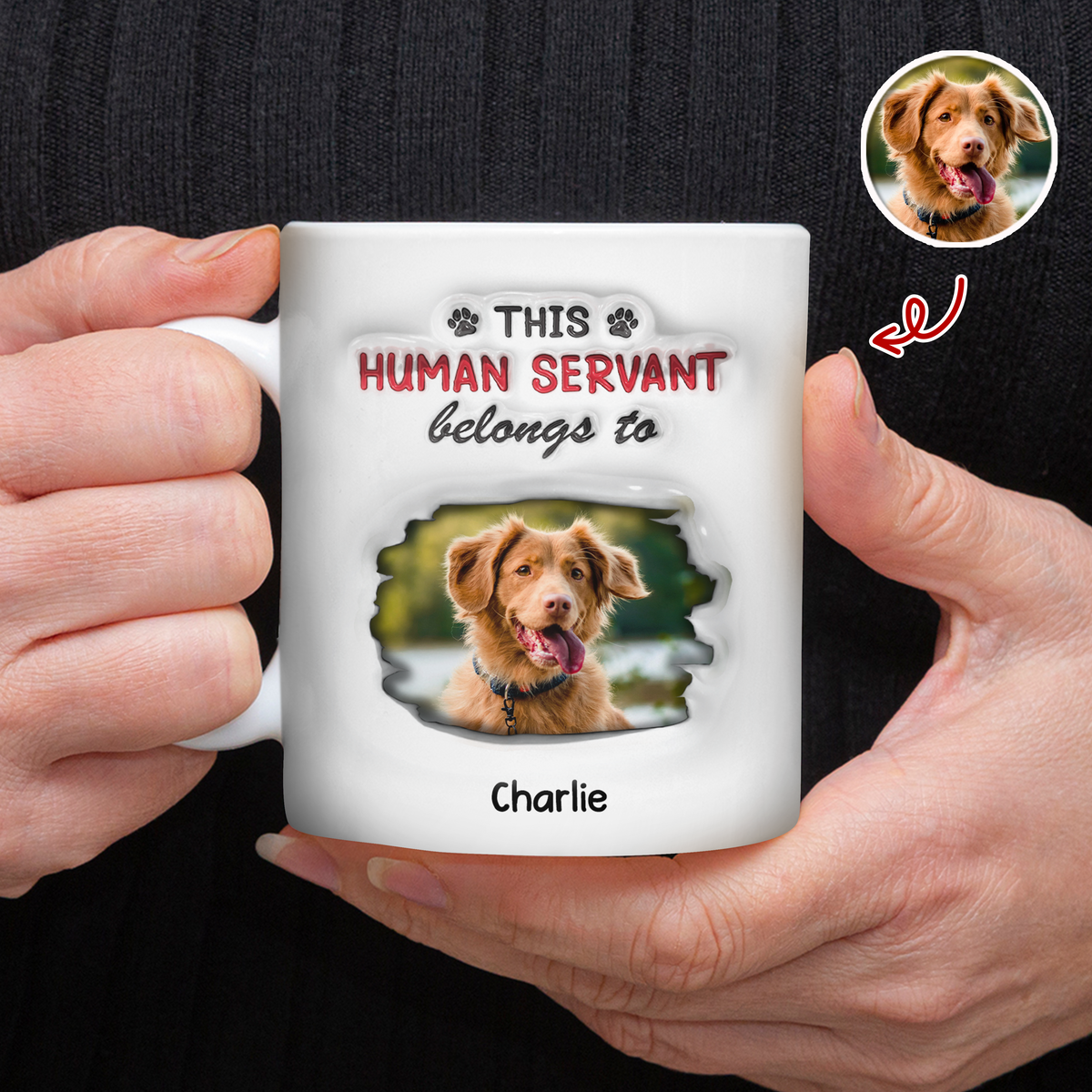 Custom Photo This Human Servant Belongs To Me 3D Inflated Effect Mug For Pet Lover TH10 894319