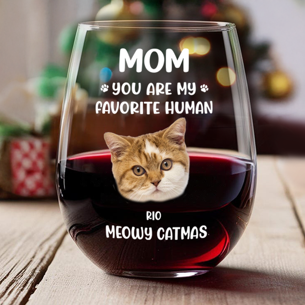 Custom Face Dog Cat - Mom, You’re My Favorite Human Wine Glass HA75 892944