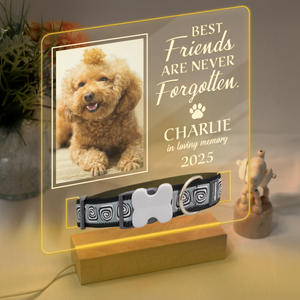 Custom Photo Best Friends Are Never Forgotten Memorial Acrylic Collar Frame TH10 894107