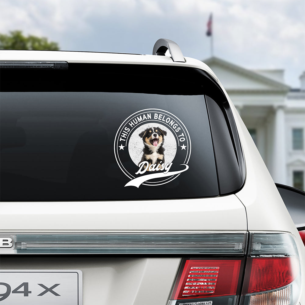 Custom Photo This Human Belongs To Dog Cat Personalized Car Window Decal Sticker HA75 921416