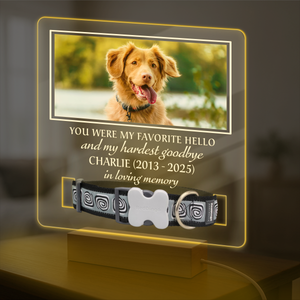 Custom Photo You Were My Favorite Hello Memorial Acrylic Collar Frame TH10 894095