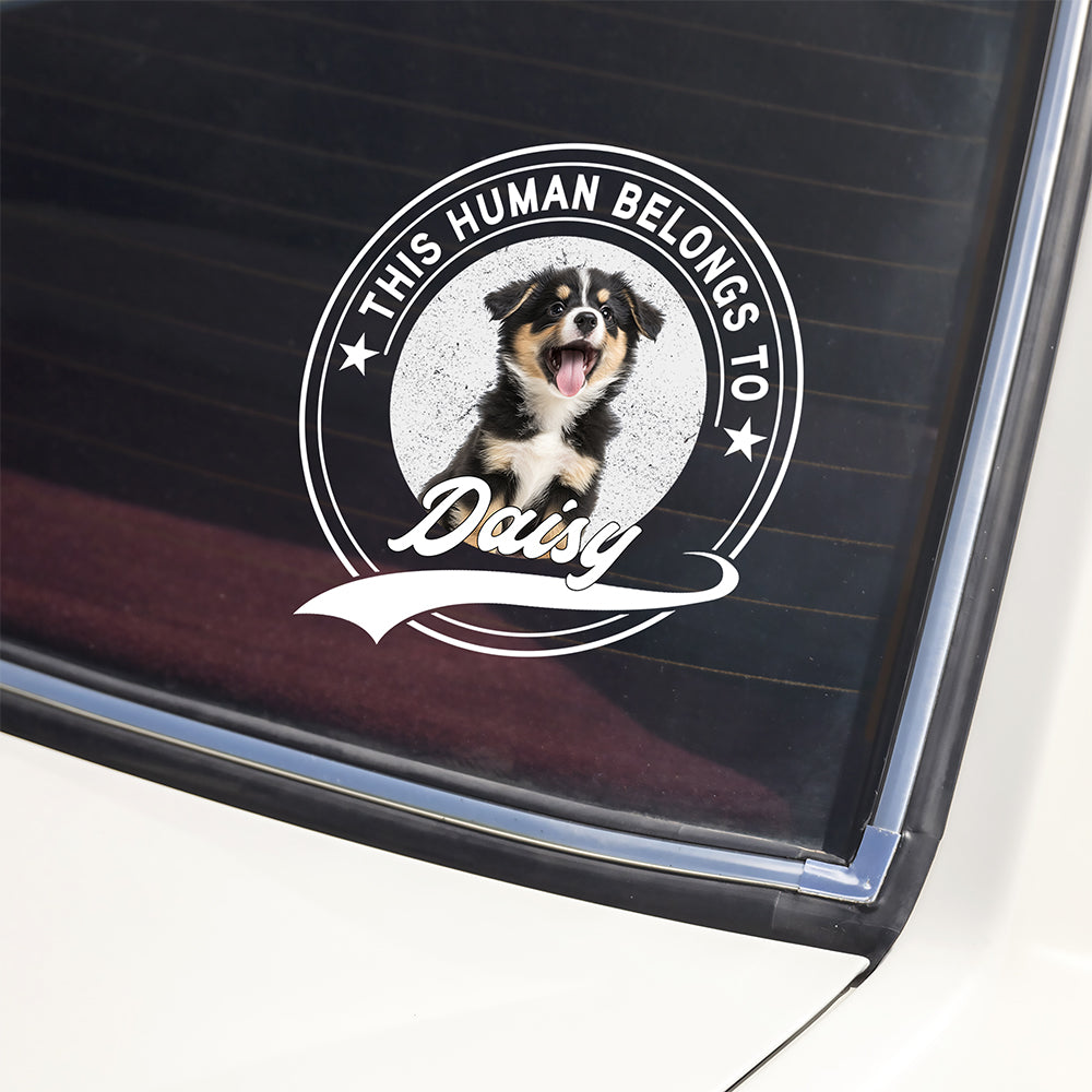 Custom Photo This Human Belongs To Dog Cat Personalized Car Window Decal Sticker HA75 921416