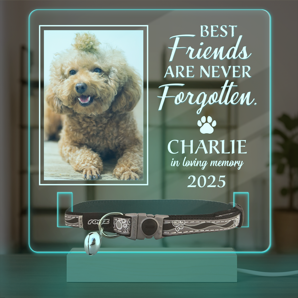 Custom Photo Best Friends Are Never Forgotten Memorial Acrylic Collar Frame TH10 894107
