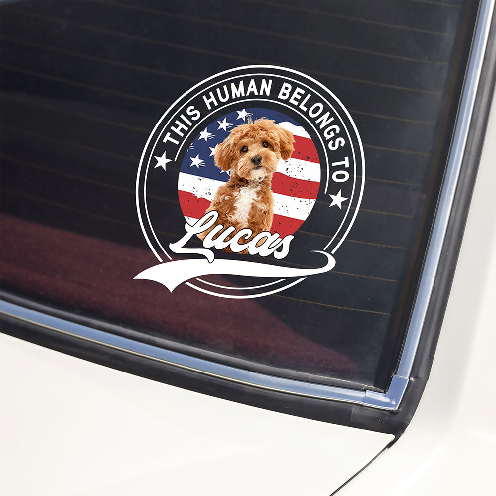 Custom Photo This Human Belongs To Dog Cat Personalized Car Window Decal Sticker HA75 921416