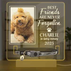 Custom Photo Best Friends Are Never Forgotten Memorial Acrylic Collar Frame TH10 894107