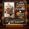 Custom Photo Best Friends Are Never Forgotten Memorial Acrylic Collar Frame TH10 894107